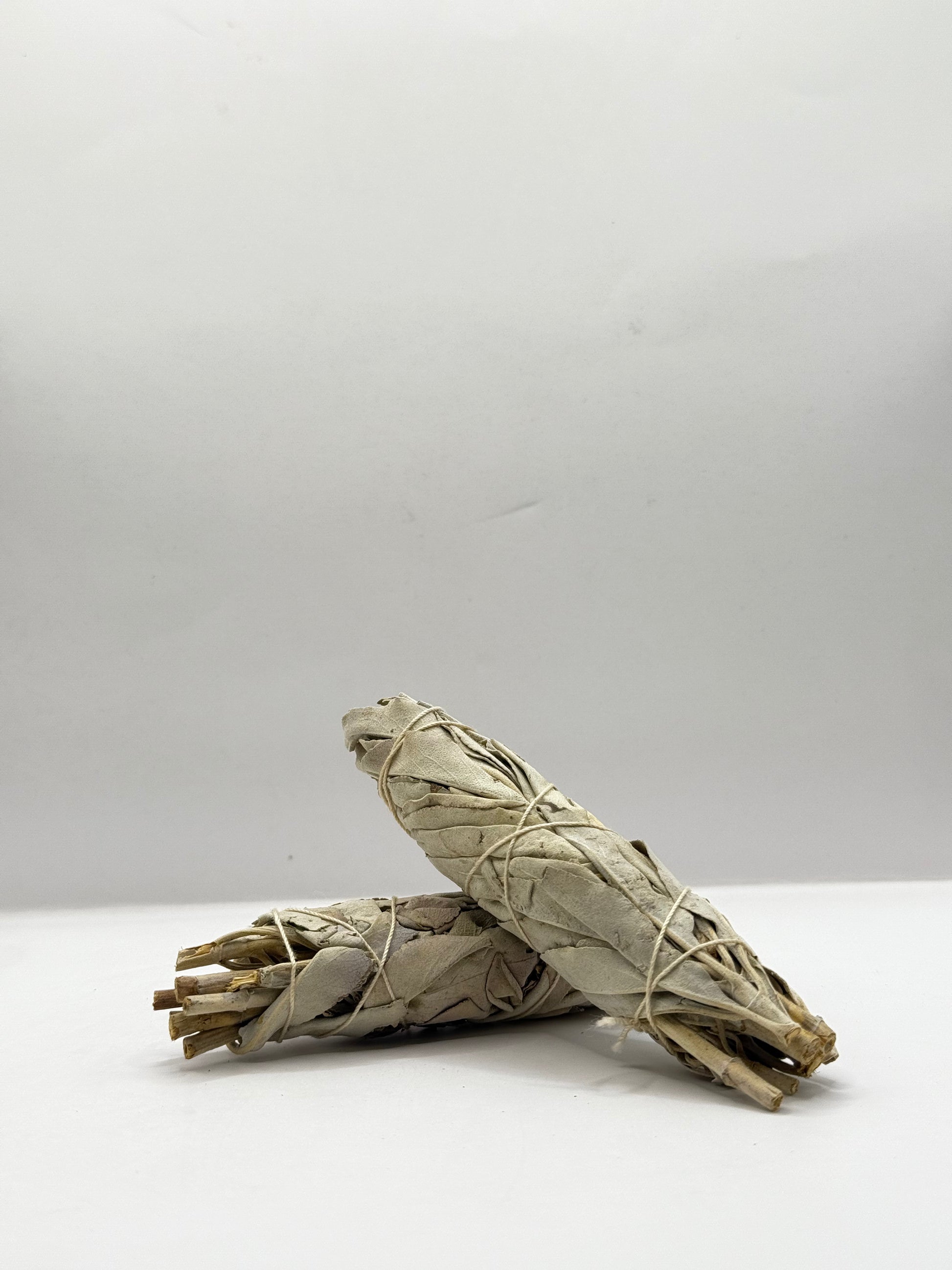 White Sage